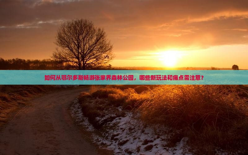 如何从鄂尔多斯畅游张家界森林公园，哪些新玩法和痛点需注意？
