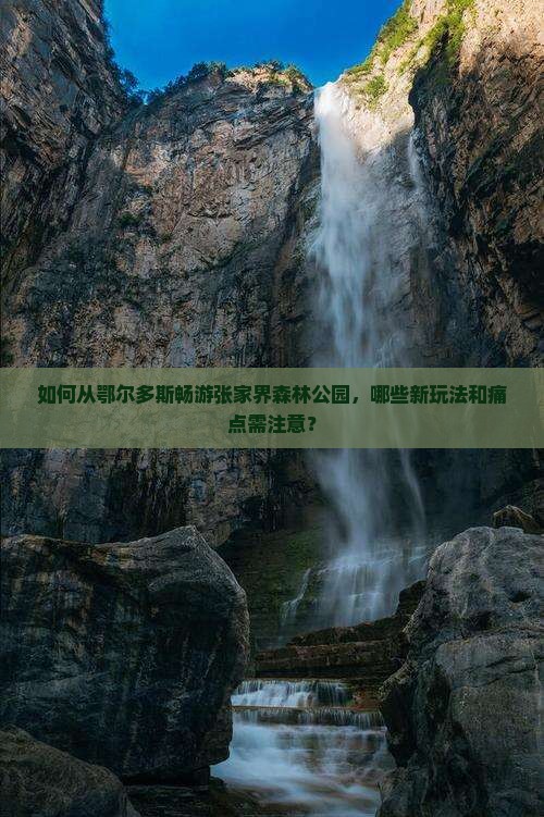 如何从鄂尔多斯畅游张家界森林公园，哪些新玩法和痛点需注意？