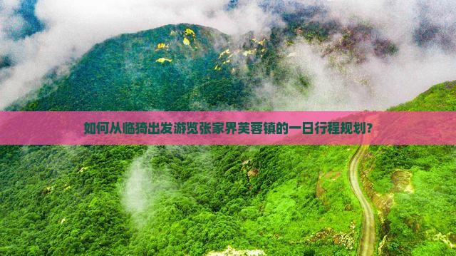 如何从临猗出发游览张家界芙蓉镇的一日行程规划？