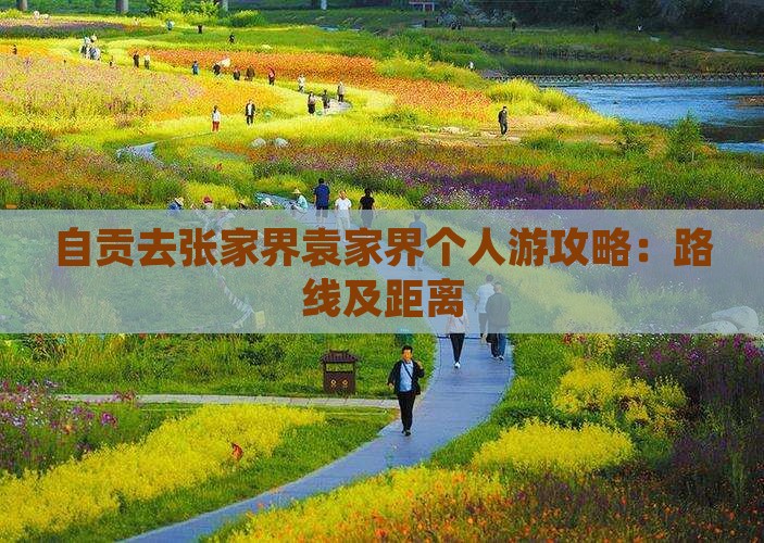 自贡去张家界袁家界个人游攻略：路线及距离