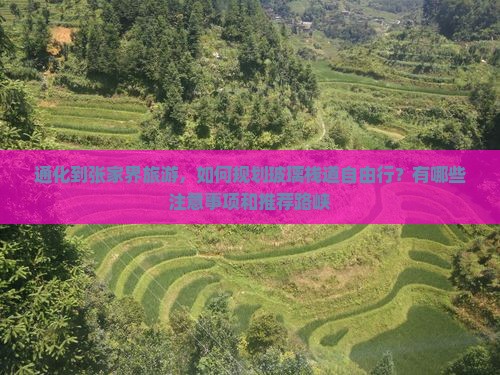 通化到张家界旅游，如何规划玻璃栈道自由行？有哪些注意事项和推荐路峡