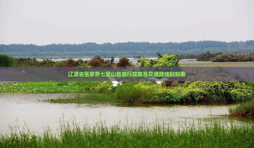 辽源去张家界七星山自由行攻略及交通路线时刻表