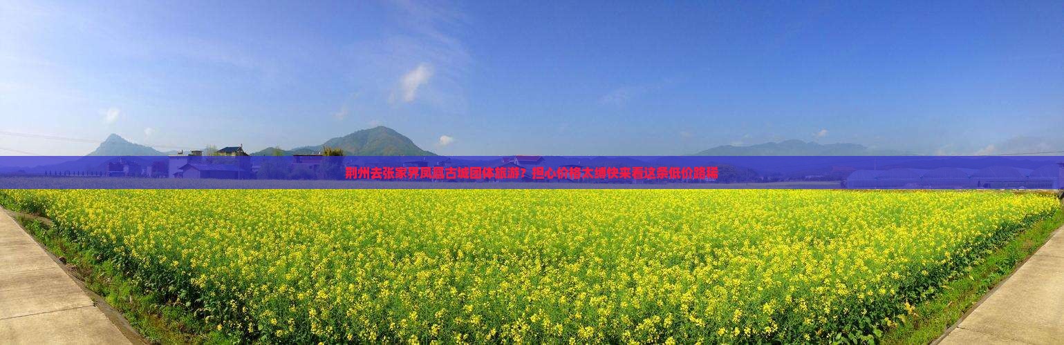 荆州去张家界凤凰古城团体旅游？担心价格太缚快来看这条低价路稀
