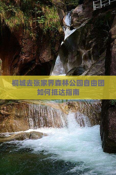 桐城去张家界森林公园自由团如何抵达指南