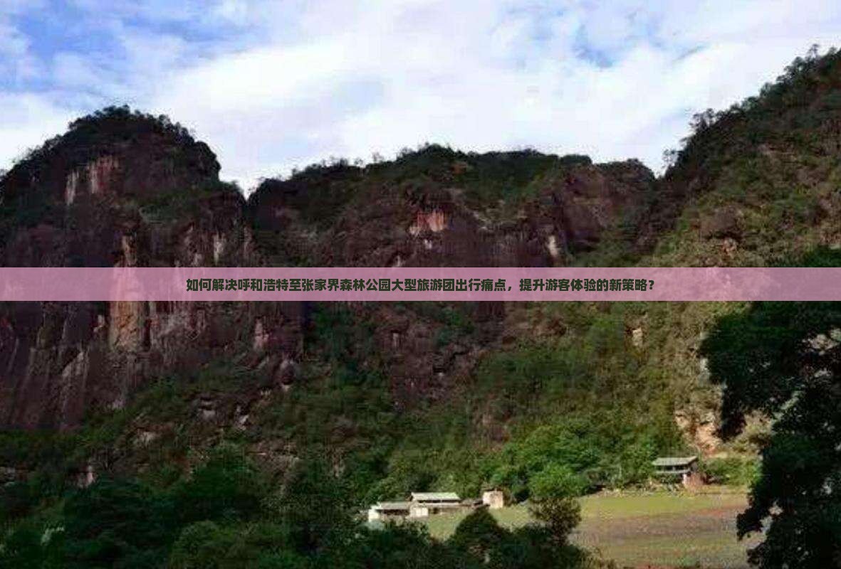 如何解决呼和浩特至张家界森林公园大型旅游团出行痛点，提升游客体验的新策略？