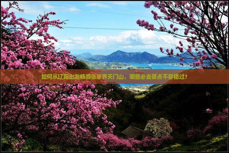 如何从辽阳出发畅游张家界天门山，哪些必去景点不容错过？