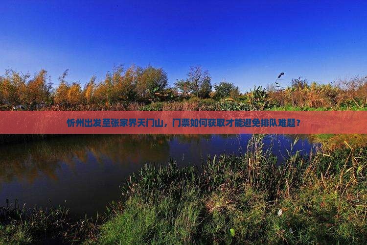 忻州出发至张家界天门山，门票如何获取才能避免排队难题？