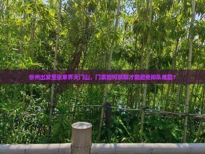 忻州出发至张家界天门山，门票如何获取才能避免排队难题？