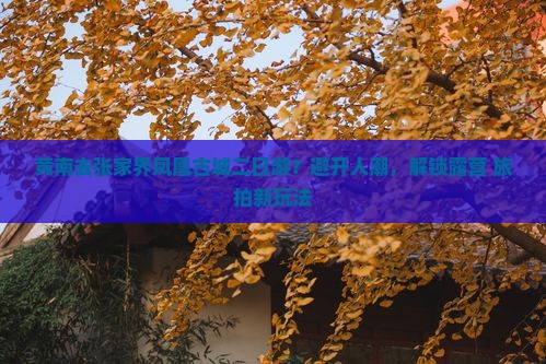 黄南去张家界凤凰古城二日游？避开人潮，解锁露营+旅拍新玩法