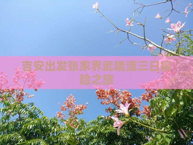 吉安出发张家界武陵源三日探险之旅