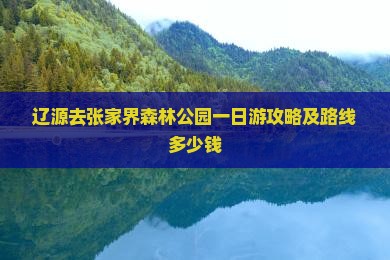 辽源去张家界森林公园一日游攻略及路线多少钱