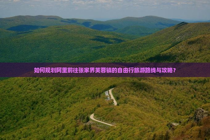 如何规划阿里前往张家界芙蓉镇的自由行旅游路线与攻略？