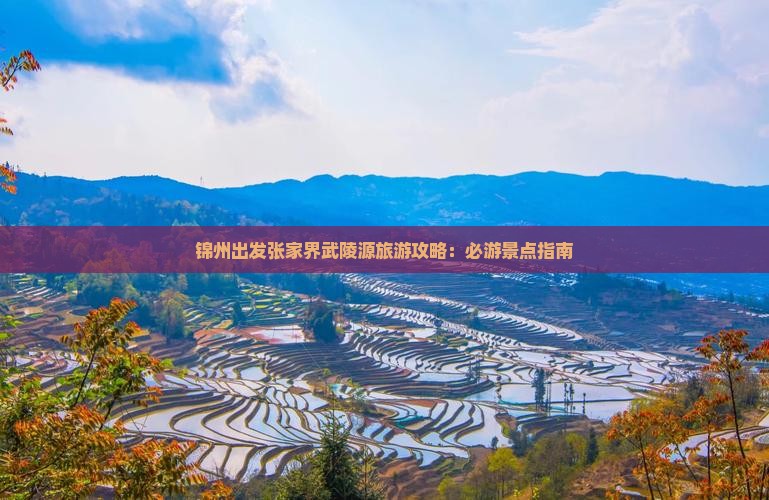 锦州出发张家界武陵源旅游攻略:必游景点指南 锦州出发张家界武陵源旅游攻略:必游景点指南