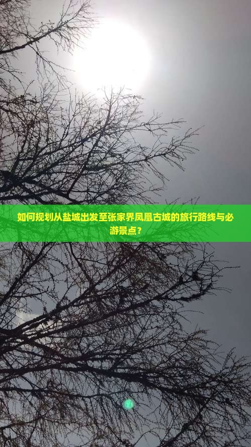 如何规划从盐城出发至张家界凤凰古城的旅行路线与必游景点？