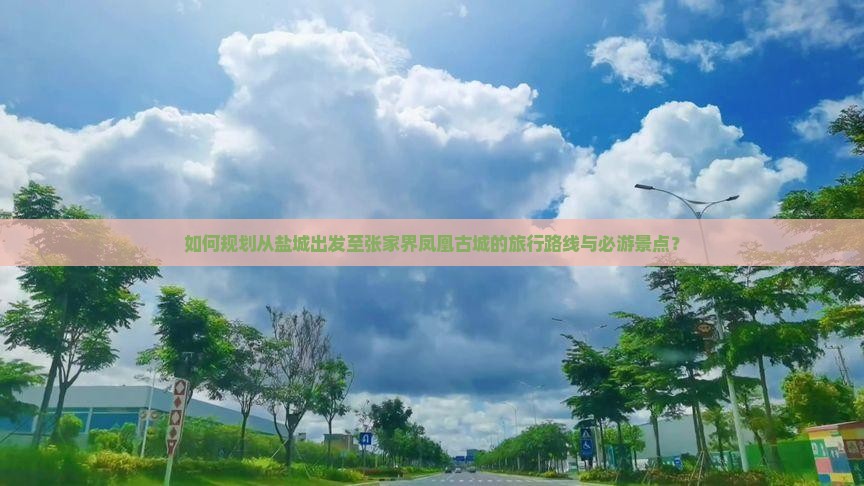如何规划从盐城出发至张家界凤凰古城的旅行路线与必游景点？