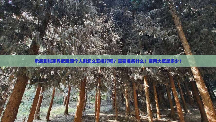 承德到张家界武陵源个人游怎么安排行程？需要准备什么？费用大概是多少？