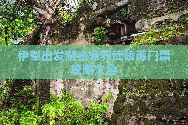 伊犁出发游张家界武陵源门票攻略大全