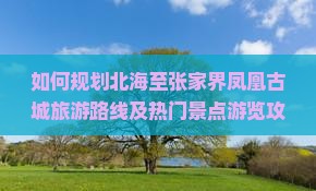 如何规划北海至张家界凤凰古城旅游路线及热门景点游览攻略？
