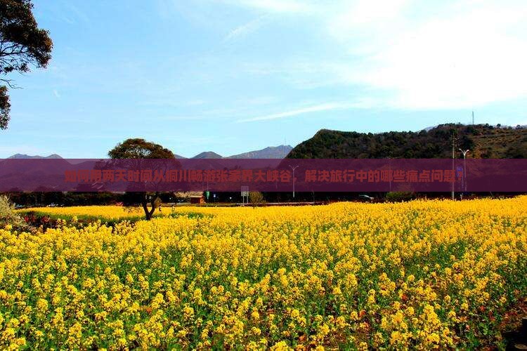 如何用两天时间从铜川畅游张家界大峡谷，解决旅行中的哪些痛点问题？