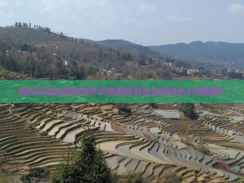 如何从延边到张家界武陵源旅游及当地特色小吃推荐？