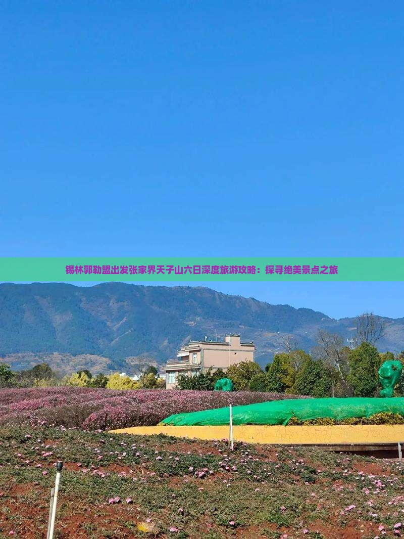 锡林郭勒盟出发张家界天子山六日深度旅游攻略：探寻绝美景点之旅