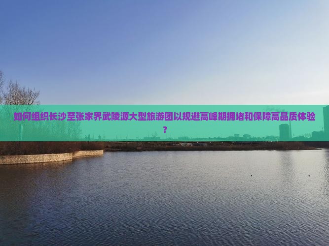 如何组织长沙至张家界武陵源大型旅游团以规避高峰期拥堵和保障高品质体验？