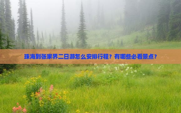 珠海到张家界二日游怎么安排行程？有哪些必看景点？