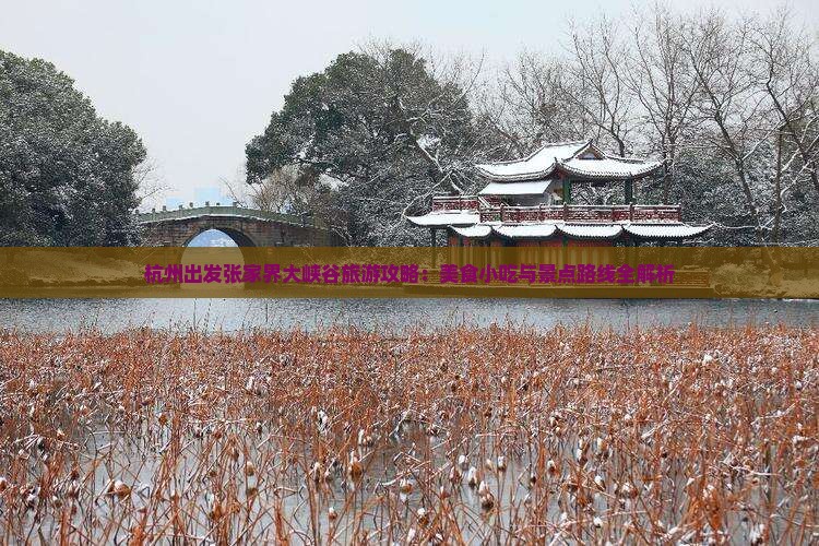 杭州出发张家界大峡谷旅游攻略：美食小吃与景点路线全解析