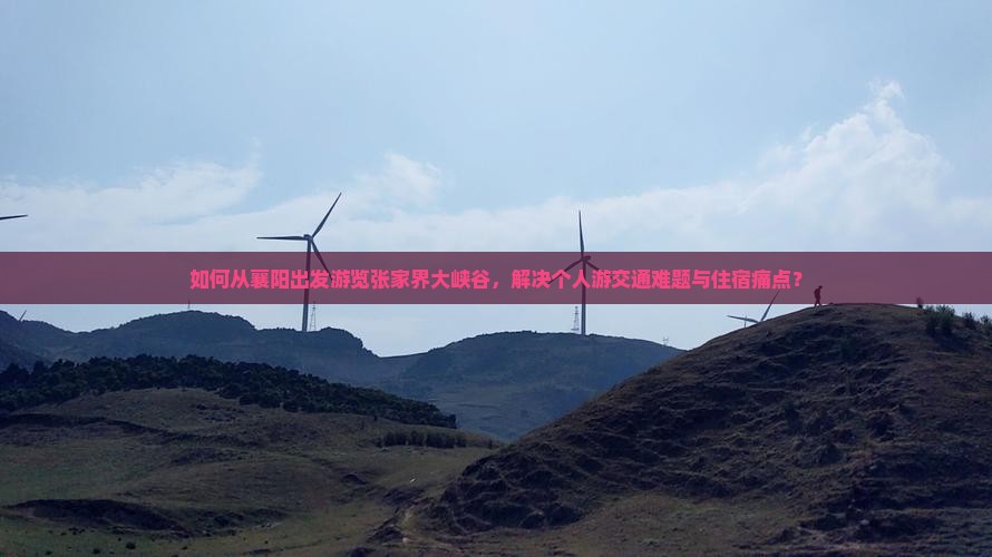 如何从襄阳出发游览张家界大峡谷，解决个人游交通难题与住宿痛点？