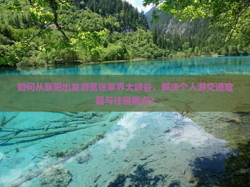 如何从襄阳出发游览张家界大峡谷，解决个人游交通难题与住宿痛点？
