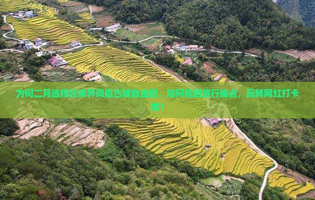 为何二月选择张家界凤凰古城自由团，如何规避旅行痛点，玩转网红打卡地？