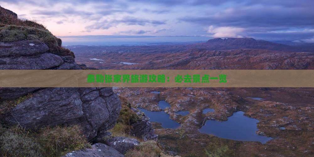 泰勒张家界旅游攻略：必去景点一览