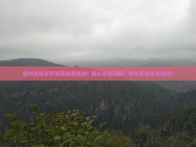 衢州去张家界玻璃栈道旅游？担心安全问题？快来看看这波操作！