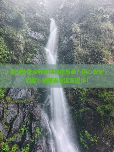 衢州去张家界玻璃栈道旅游？担心安全问题？快来看看这波操作！