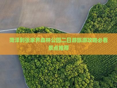 菏泽到张家界森林公园二日游旅游攻略必看景点推荐
