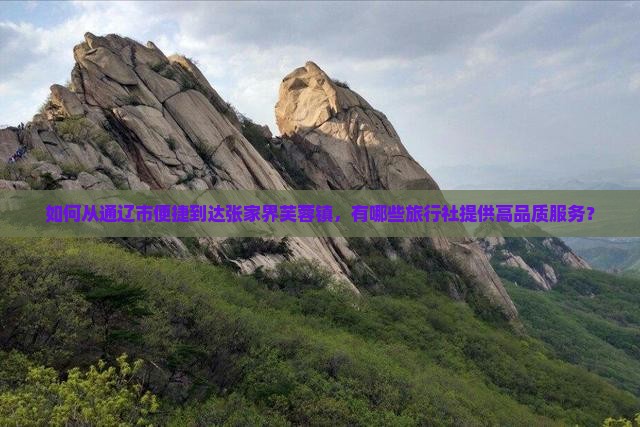 如何从通辽市便捷到达张家界芙蓉镇，有哪些旅行社提供高品质服务？