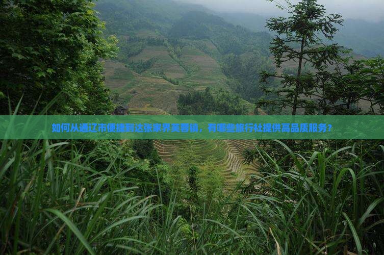 如何从通辽市便捷到达张家界芙蓉镇，有哪些旅行社提供高品质服务？
