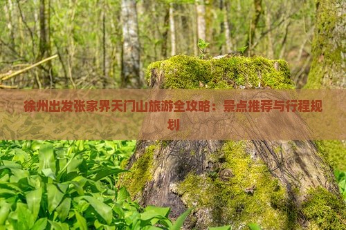 徐州出发张家界天门山旅游全攻略：景点推荐与行程规划