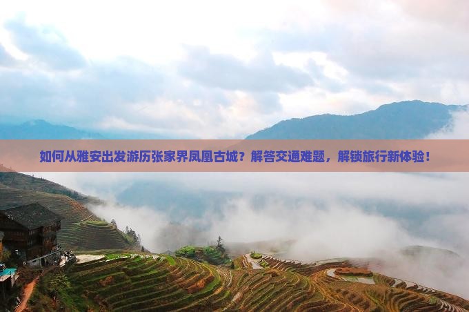 如何从雅安出发游历张家界凤凰古城？解答交通难题，解锁旅行新体验！