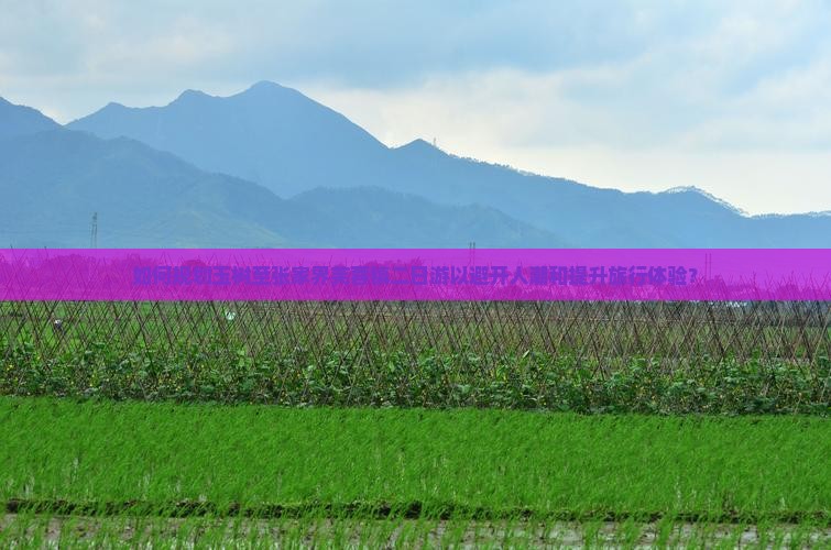 如何规划玉树至张家界芙蓉镇二日游以避开人潮和提升旅行体验？