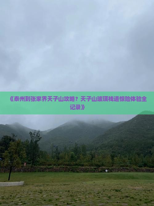 《泰州到张家界天子山攻略？天子山玻璃栈道惊险体验全记录》