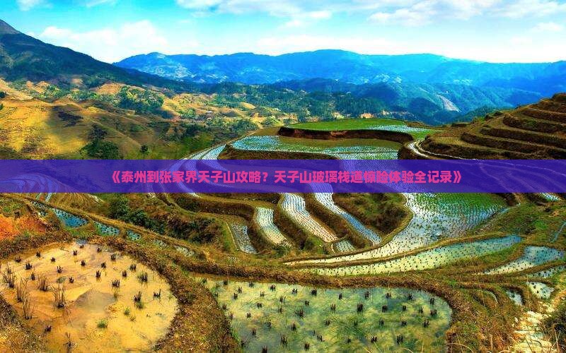 《泰州到张家界天子山攻略？天子山玻璃栈道惊险体验全记录》