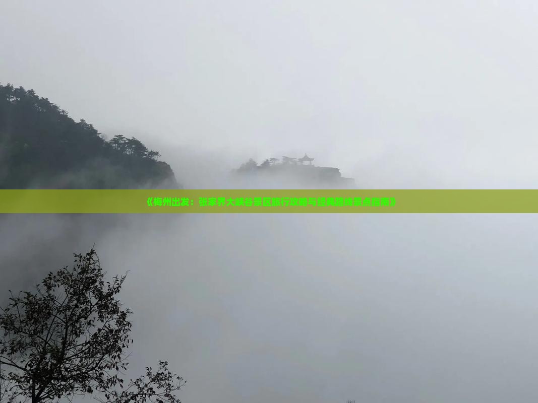 《梅州出发：张家界大峡谷景区旅行攻略与经典路线景点指南》