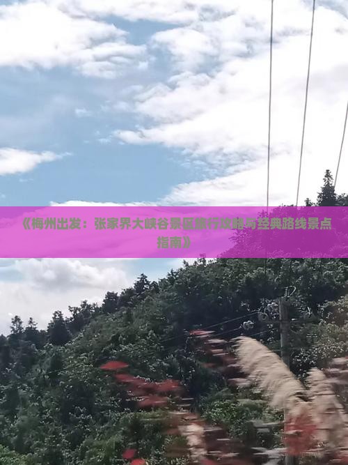 《梅州出发：张家界大峡谷景区旅行攻略与经典路线景点指南》