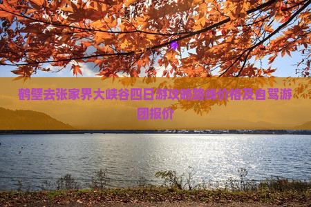 鹤壁去张家界大峡谷四日游攻略路线价格及自驾游团报价