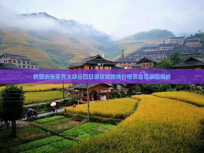 鹤壁去张家界大峡谷四日游攻略路线价格及自驾游团报价