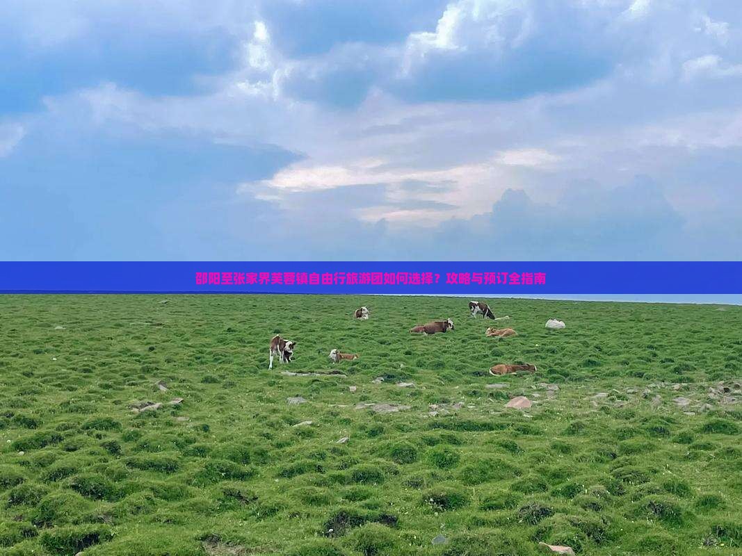 邵阳至张家界芙蓉镇自由行旅游团如何选择？攻略与预订全指南