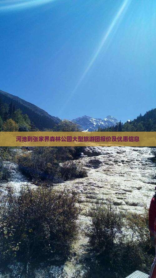 河池到张家界森林公园大型旅游团报价及优惠信息