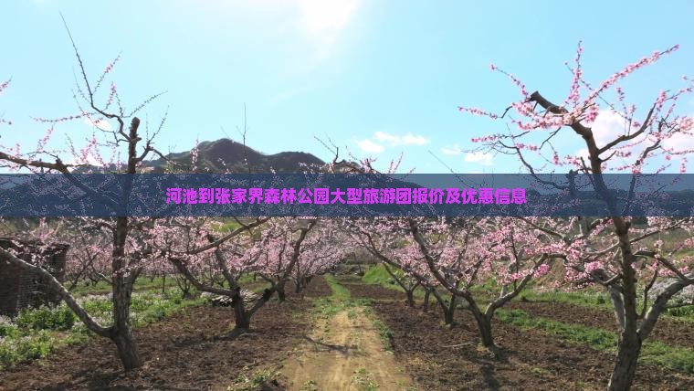 河池到张家界森林公园大型旅游团报价及优惠信息