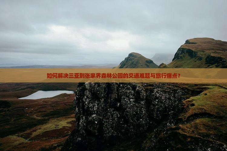 如何解决三亚到张家界森林公园的交通难题与旅行痛点？